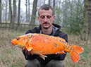 8lb 5oz Karrot. April 2019. Beginners Peg