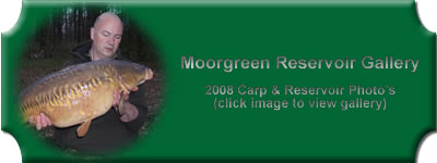 Link to Image Gallery