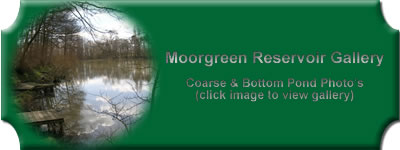 Link to Image Gallery