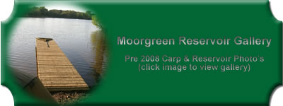 Link to image gallery