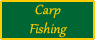 Carp Fishing