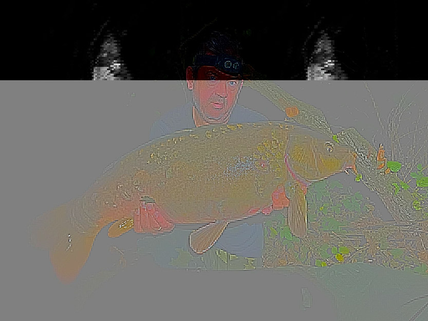 22lb. September 2026